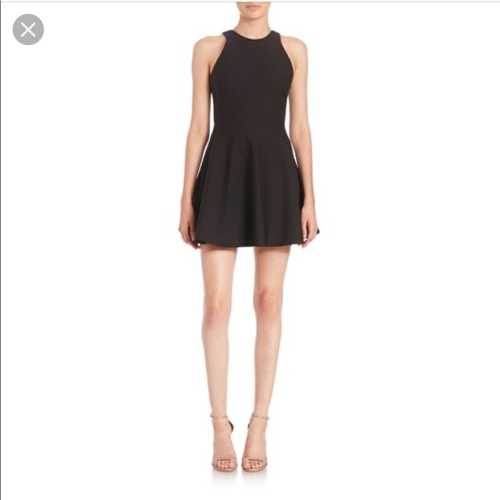 Elizabeth and James fit and flare dress - Picture 2 of 6